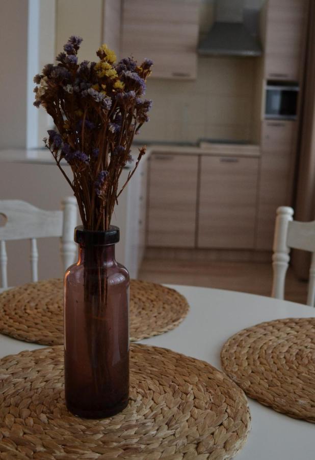 Saulys Apartment Druskininkai Bagian luar foto